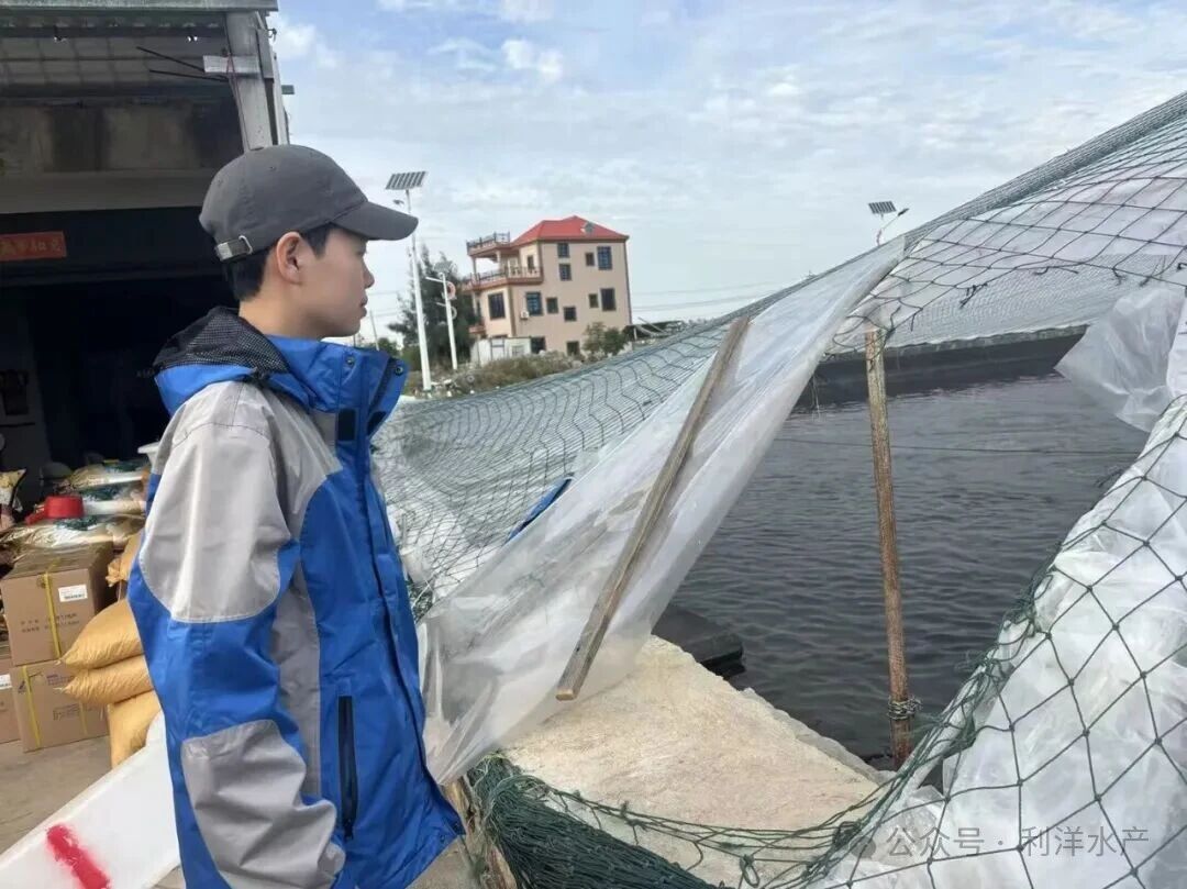 1766739371774893.jpg 19.jpg