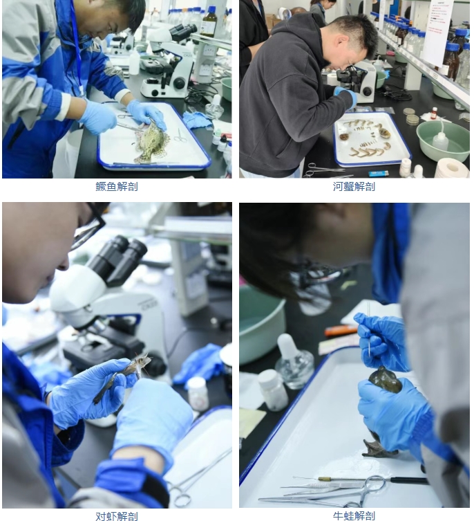 1770533062424938.jpg 2.jpg